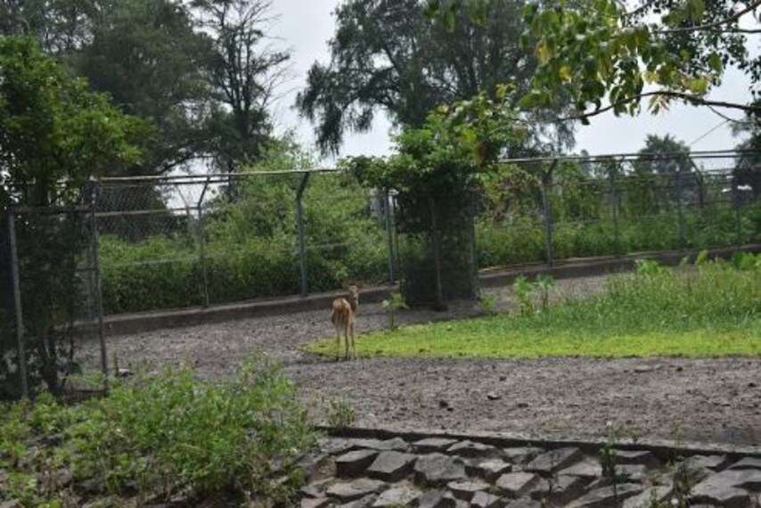 Explore Manipur Zoological Garden-2